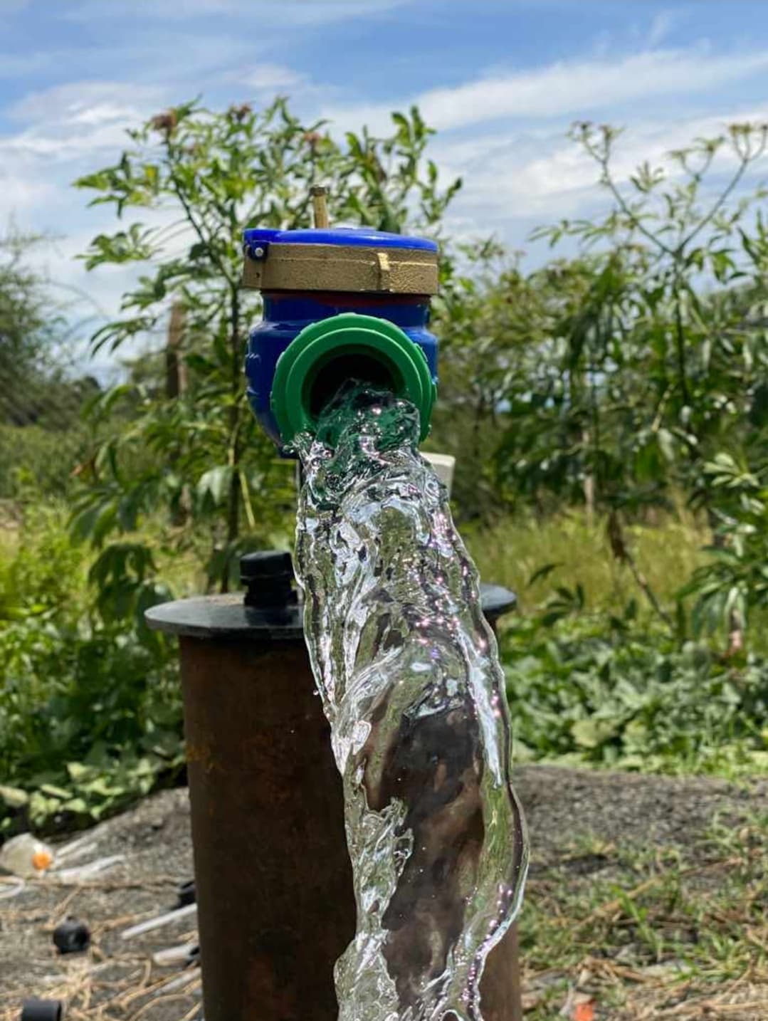 Water Surveys Service